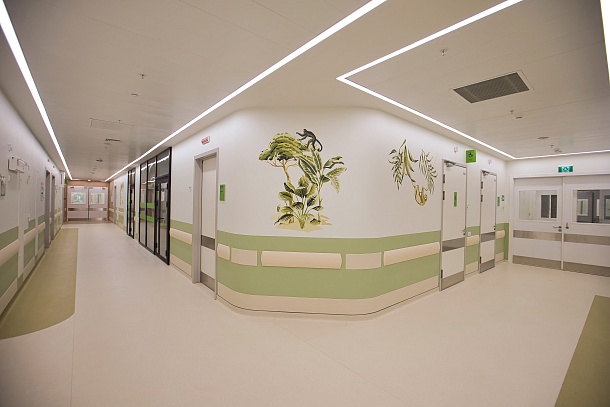 Многопрофильный комплекс ГБУЗ «ДГКБ св. Владимира ДЗМ»